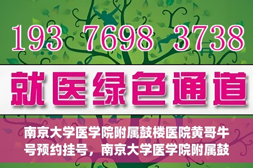 南京大学医学院附属鼓楼医院黄哥牛号预约挂号，南京大学医学院附属鼓楼医院黄哥牛号预约挂号攻略解析