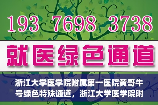 浙江大学医学院附属第一医院黄哥牛号绿色特殊通道，浙江大学医学院附属第一医院绿色特殊通道，黄哥牛号引领医疗创新之路