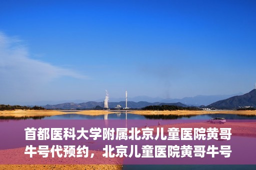 首都医科大学附属北京儿童医院黄哥牛号代预约，北京儿童医院黄哥牛号预约服务，专业便捷的健康守护使者