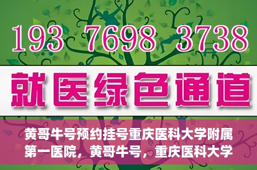 黄哥牛号预约挂号重庆医科大学附属第一医院，黄哥牛号，重庆医科大学附属第一医院预约挂号服务开启