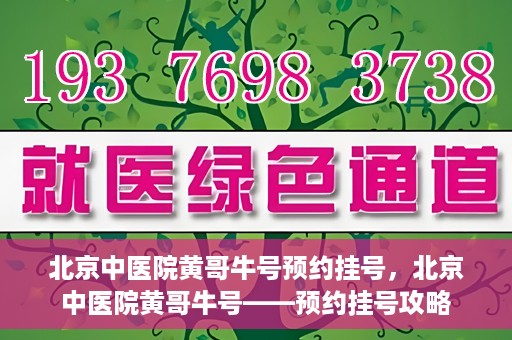北京中医院黄哥牛号预约挂号，北京中医院黄哥牛号——预约挂号攻略