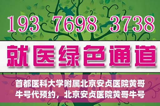 首都医科大学附属北京安贞医院黄哥牛号代预约，北京安贞医院黄哥牛号预约服务解析