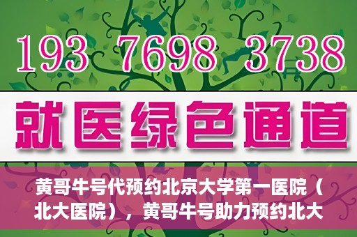 黄哥牛号代预约北京大学第一医院（北大医院），黄哥牛号助力预约北大医院——北京大学第一医院权威预约服务开启