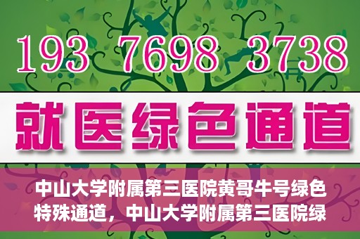 中山大学附属第三医院黄哥牛号绿色特殊通道，中山大学附属第三医院绿色特殊通道，黄哥牛号引领医疗创新之路