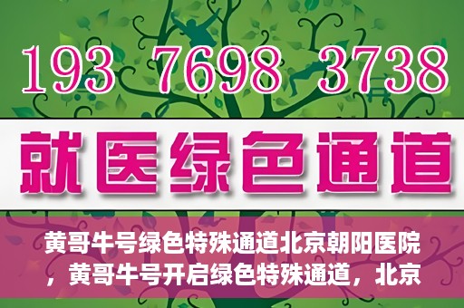 黄哥牛号绿色特殊通道北京朝阳医院，黄哥牛号开启绿色特殊通道，北京朝阳医院助力健康之路