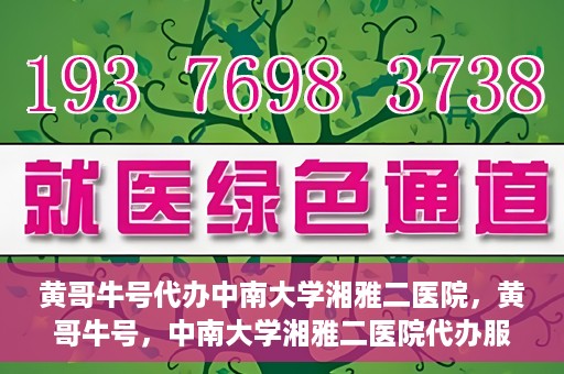 黄哥牛号代办中南大学湘雅二医院，黄哥牛号，中南大学湘雅二医院代办服务详解