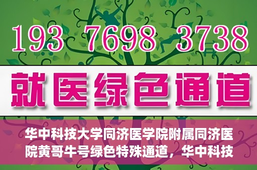 华中科技大学同济医学院附属同济医院黄哥牛号绿色特殊通道，华中科技大学同济医院黄哥牛号绿色特殊通道揭秘