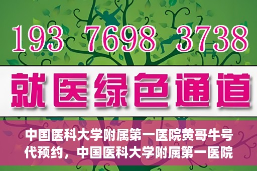 中国医科大学附属第一医院黄哥牛号代预约，中国医科大学附属第一医院黄哥牛号预约服务详解