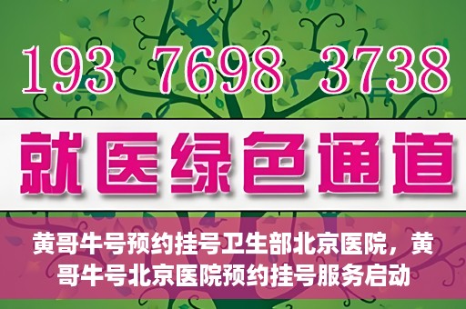 黄哥牛号预约挂号卫生部北京医院，黄哥牛号北京医院预约挂号服务启动