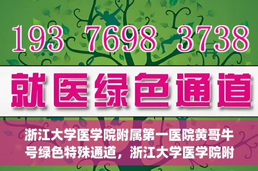 浙江大学医学院附属第一医院黄哥牛号绿色特殊通道，浙江大学医学院附属第一医院绿色特殊通道，黄哥牛号引领医疗创新之路