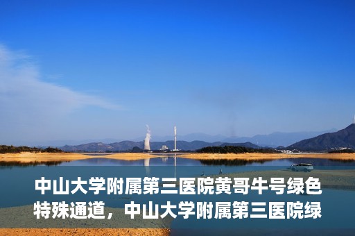 中山大学附属第三医院黄哥牛号绿色特殊通道，中山大学附属第三医院绿色特殊通道，黄哥牛号引领医疗创新之路