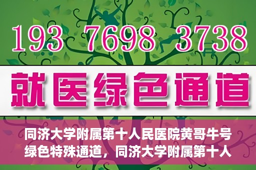 同济大学附属第十人民医院黄哥牛号绿色特殊通道，同济大学附属第十人民医院黄哥牛号，绿色特殊通道开启健康之门