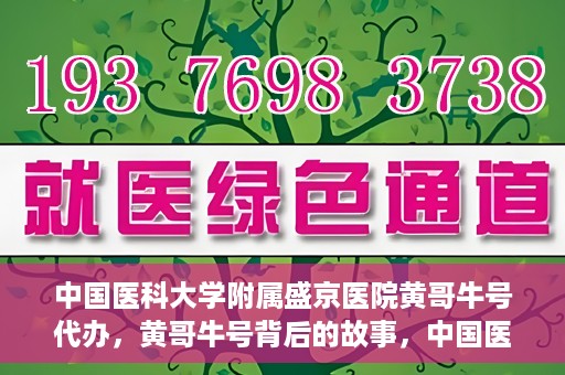 中国医科大学附属盛京医院黄哥牛号代办，黄哥牛号背后的故事，中国医科大学附属盛京医院的信赖之选