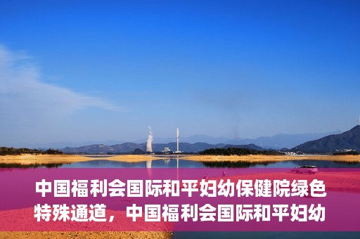 中国福利会国际和平妇幼保健院绿色特殊通道，中国福利会国际和平妇幼保健院，绿色特殊通道助力母婴健康守护