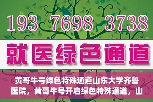 黄哥牛号绿色特殊通道山东大学齐鲁医院，黄哥牛号开启绿色特殊通道，山东大学齐鲁医院焕新篇章