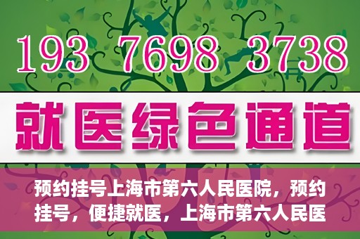 预约挂号上海市第六人民医院，预约挂号，便捷就医，上海市第六人民医院挂号指南