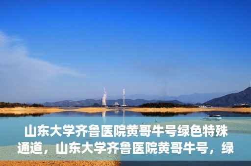 山东大学齐鲁医院黄哥牛号绿色特殊通道，山东大学齐鲁医院黄哥牛号，绿色特殊通道开启健康之门