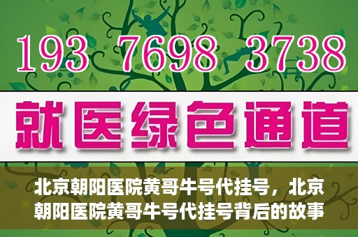 北京朝阳医院黄哥牛号代挂号，北京朝阳医院黄哥牛号代挂号背后的故事揭秘
