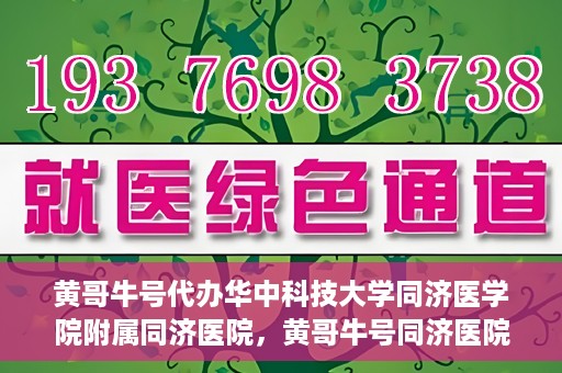 黄哥牛号代办华中科技大学同济医学院附属同济医院，黄哥牛号同济医院代办服务，专业助力就医无忧！