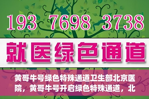 黄哥牛号绿色特殊通道卫生部北京医院，黄哥牛号开启绿色特殊通道，北京医院卫生部全力支持创新服务