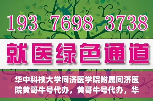 华中科技大学同济医学院附属同济医院黄哥牛号代办，黄哥牛号代办，华中科技大学同济医学院附属同济医院的便捷服务新探