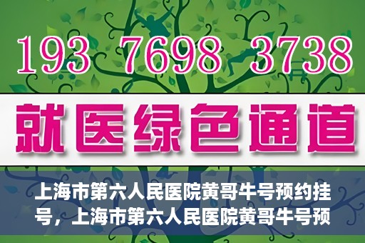 上海市第六人民医院黄哥牛号预约挂号，上海市第六人民医院黄哥牛号预约挂号攻略，轻松挂号，便捷就医体验
