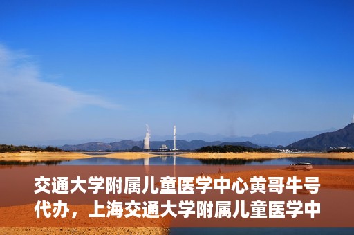 交通大学附属儿童医学中心黄哥牛号代办，上海交通大学附属儿童医学中心黄哥牛号预约挂号须知