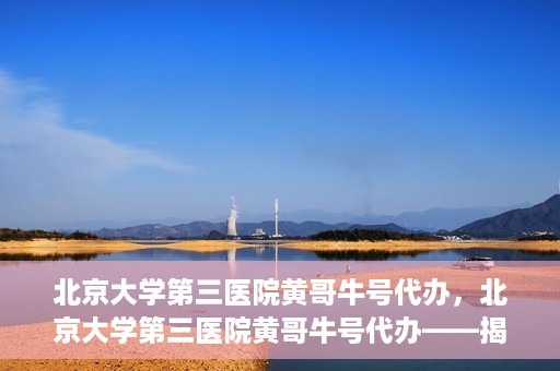 北京大学第三医院黄哥牛号代办，北京大学第三医院黄哥牛号代办——揭秘医疗预约背后的故事