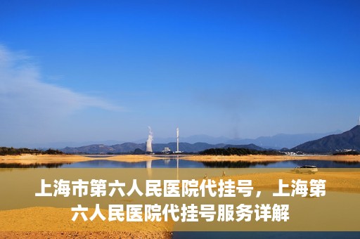 上海市第六人民医院代挂号，上海第六人民医院代挂号服务详解