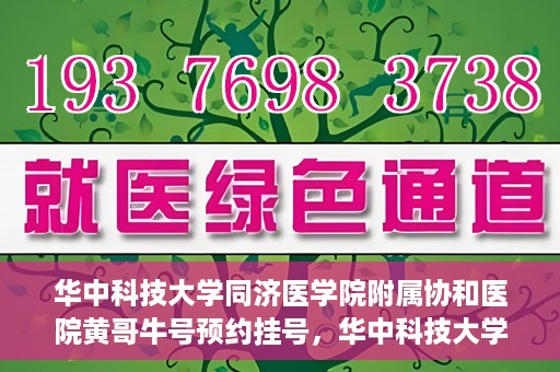 华中科技大学同济医学院附属协和医院黄哥牛号预约挂号，华中科技大学同济医学院附属协和医院黄哥牛号预约挂号攻略解析