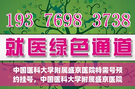 中国医科大学附属盛京医院特需号预约挂号，中国医科大学附属盛京医院特需号预约挂号攻略，一站式解决您的挂号难题