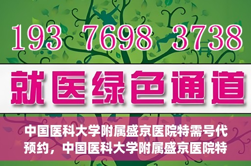 中国医科大学附属盛京医院特需号代预约，中国医科大学附属盛京医院特需号预约服务解析