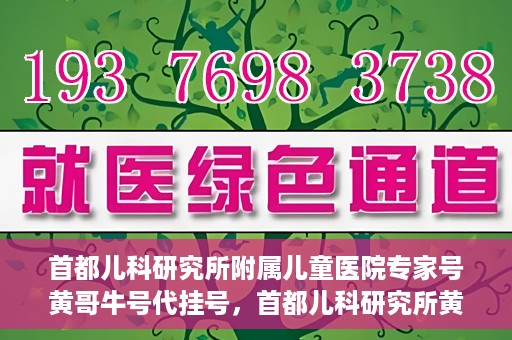 首都儿科研究所附属儿童医院专家号黄哥牛号代挂号，首都儿科研究所黄哥专家号代挂号解析，专业医疗资源的预约与利用