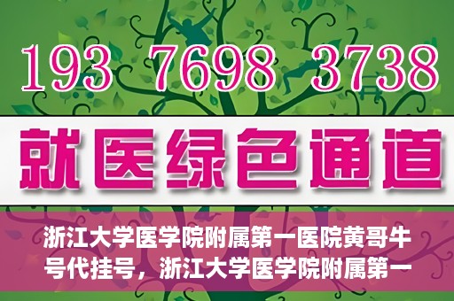 浙江大学医学院附属第一医院黄哥牛号代挂号，浙江大学医学院附属第一医院黄哥牛号代挂号服务解析