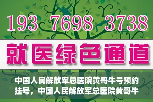 中国人民解放军总医院黄哥牛号预约挂号，中国人民解放军总医院黄哥牛号预约挂号攻略解析