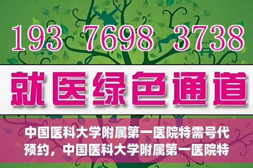 中国医科大学附属第一医院特需号代预约，中国医科大学附属第一医院特需号预约服务解析
