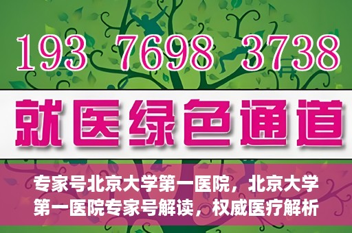 专家号北京大学第一医院，北京大学第一医院专家号解读，权威医疗解析与深度洞察