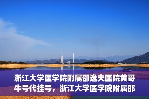 浙江大学医学院附属邵逸夫医院黄哥牛号代挂号，浙江大学医学院附属邵逸夫医院黄哥牛号代挂号服务解析