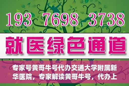 专家号黄哥牛号代办交通大学附属新华医院，专家解读黄哥牛号，代办上海交通大学附属新华医院攻略揭秘