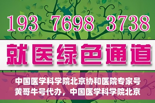 中国医学科学院北京协和医院专家号黄哥牛号代办，中国医学科学院北京协和医院专家号代办服务解析，黄哥牛号预约攻略