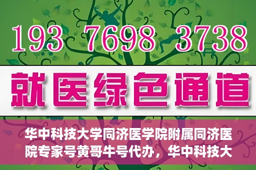 华中科技大学同济医学院附属同济医院专家号黄哥牛号代办，华中科技大学同济医院专家号黄哥牛号预约代办服务解析