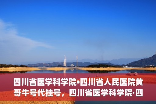 四川省医学科学院•四川省人民医院黄哥牛号代挂号，四川省医学科学院·四川省人民医院黄哥牛号——便捷挂号新体验