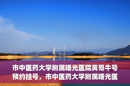 市中医药大学附属曙光医院黄哥牛号预约挂号，市中医药大学附属曙光医院黄哥牛号，预约挂号攻略