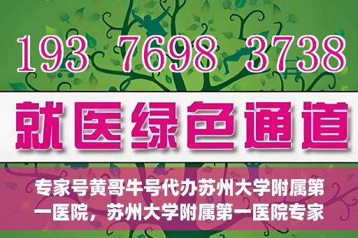 专家号黄哥牛号代办苏州大学附属第一医院，苏州大学附属第一医院专家号代办服务揭秘，黄哥牛号引领医疗预约新风尚