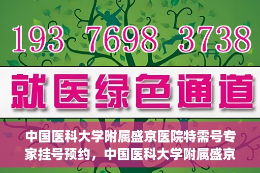 中国医科大学附属盛京医院特需号专家挂号预约，中国医科大学附属盛京医院特需专家挂号预约攻略