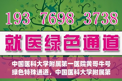 中国医科大学附属第一医院黄哥牛号绿色特殊通道，中国医科大学附属第一医院黄哥牛号，绿色特殊通道的开启与探索