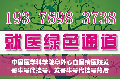 中国医学科学院阜外心血管病医院黄哥牛号代挂号，黄哥牛号代挂号背后的故事，阜外心血管病医院的探索与挑战