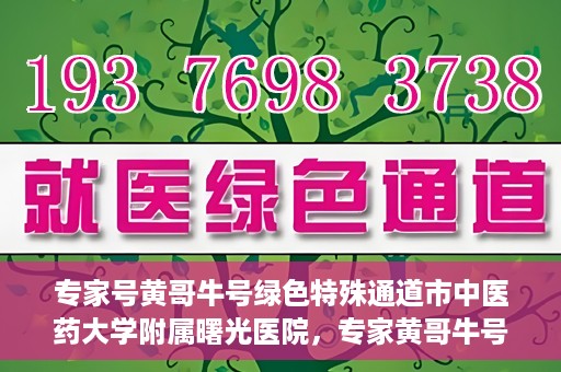专家号黄哥牛号绿色特殊通道市中医药大学附属曙光医院，专家黄哥牛号开启绿色特殊通道——市中医药大学附属曙光医院新篇章