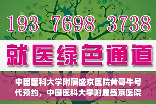 中国医科大学附属盛京医院黄哥牛号代预约，中国医科大学附属盛京医院黄哥牛号预约服务解析
