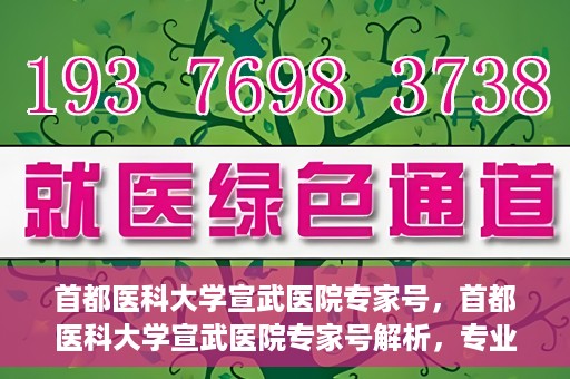 首都医科大学宣武医院专家号，首都医科大学宣武医院专家号解析，专业医疗服务的深度解读